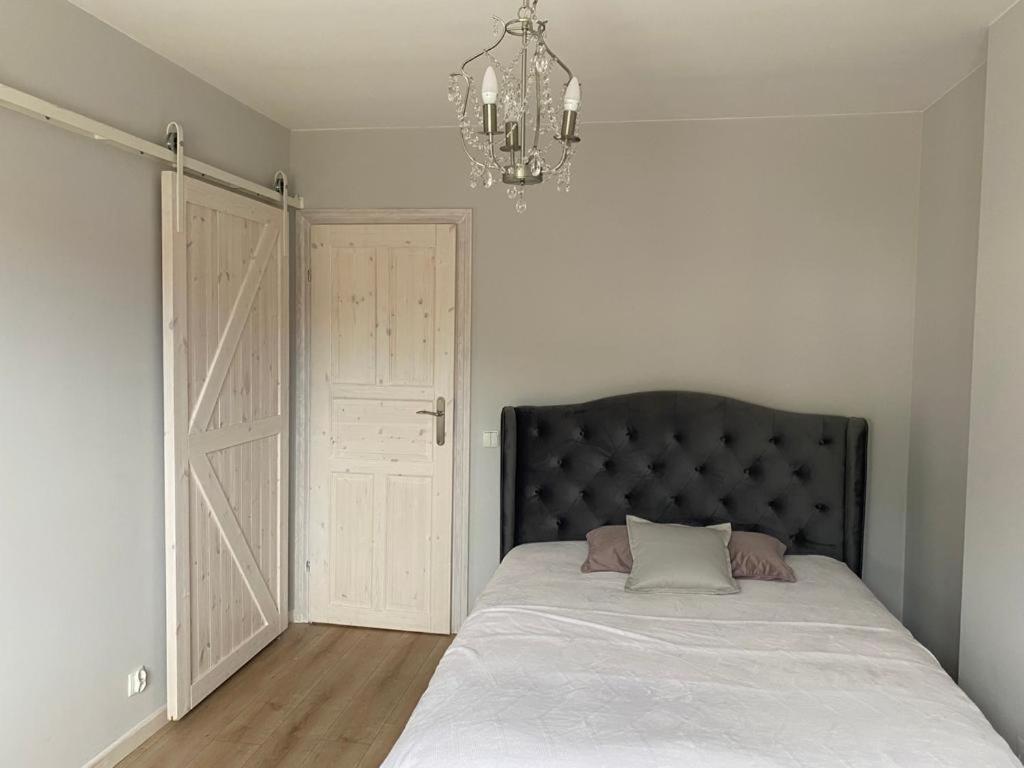 Zaciszne Domki Apartamenty 米兹多洛杰 外观 照片