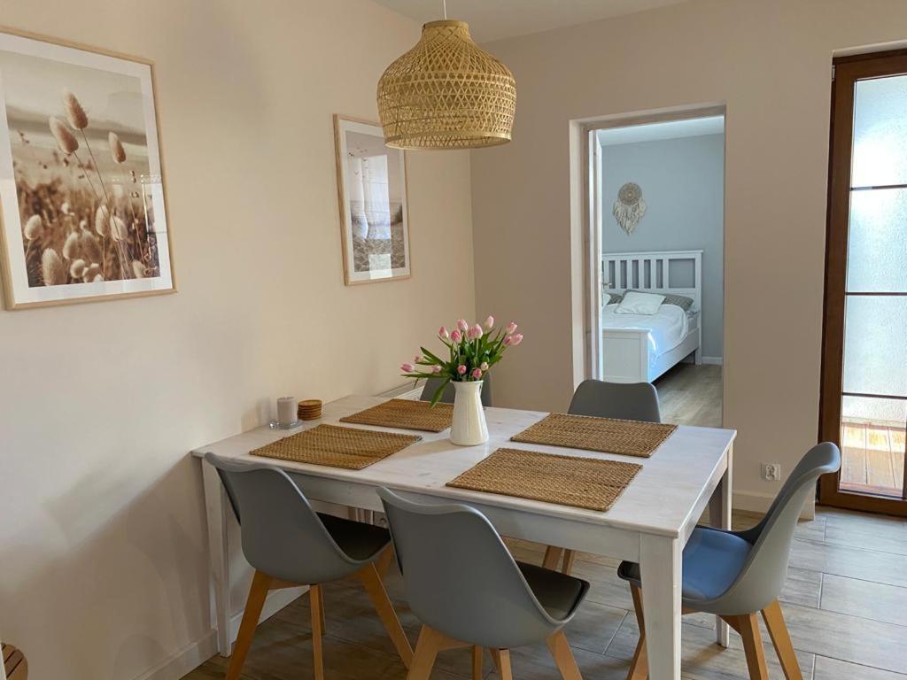 Zaciszne Domki Apartamenty 米兹多洛杰 外观 照片