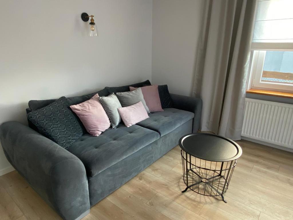 Zaciszne Domki Apartamenty 米兹多洛杰 外观 照片